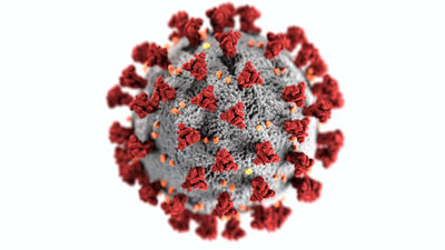 RS-Virus: Atemraubende Bedrohung - Wie schützt man sich vor einer unsichtbaren Gefahr?