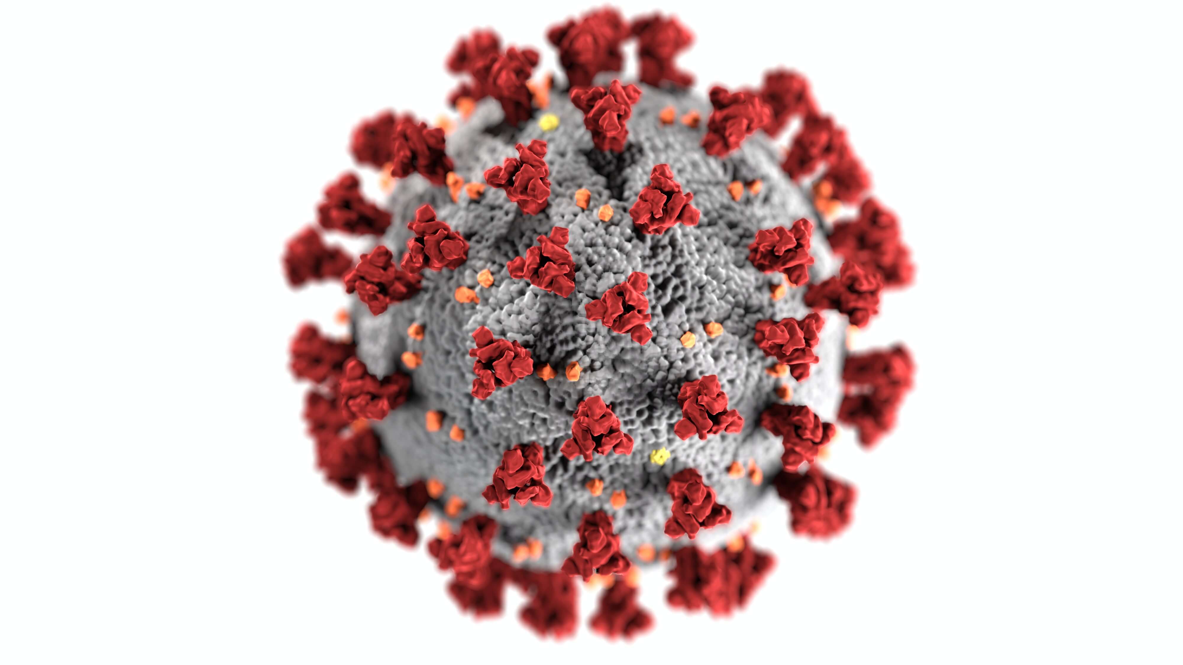 RS-Virus: Atemraubende Bedrohung - Wie schützt man sich vor einer unsichtbaren Gefahr?